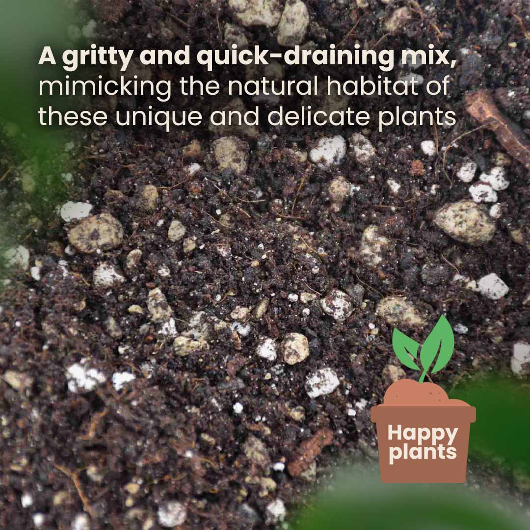 bonsai tree soil near me Buy Bonsai Soil Mix? ✓ Order before 16:30, shipped today – Sybotanica