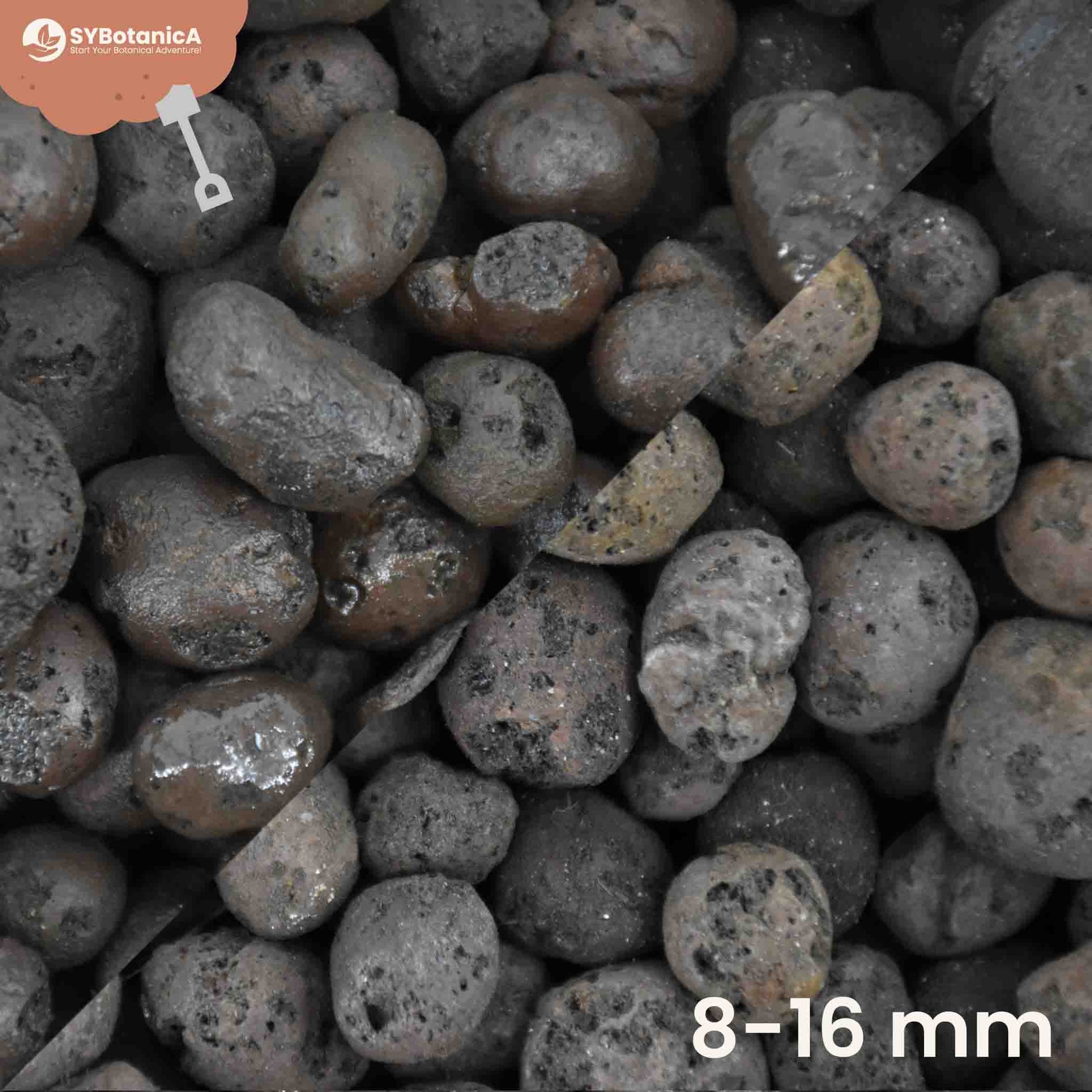 clay balls for succulents Buy Expanded Clay Balls? ✓ Shipped Quickly! – Sybotanica