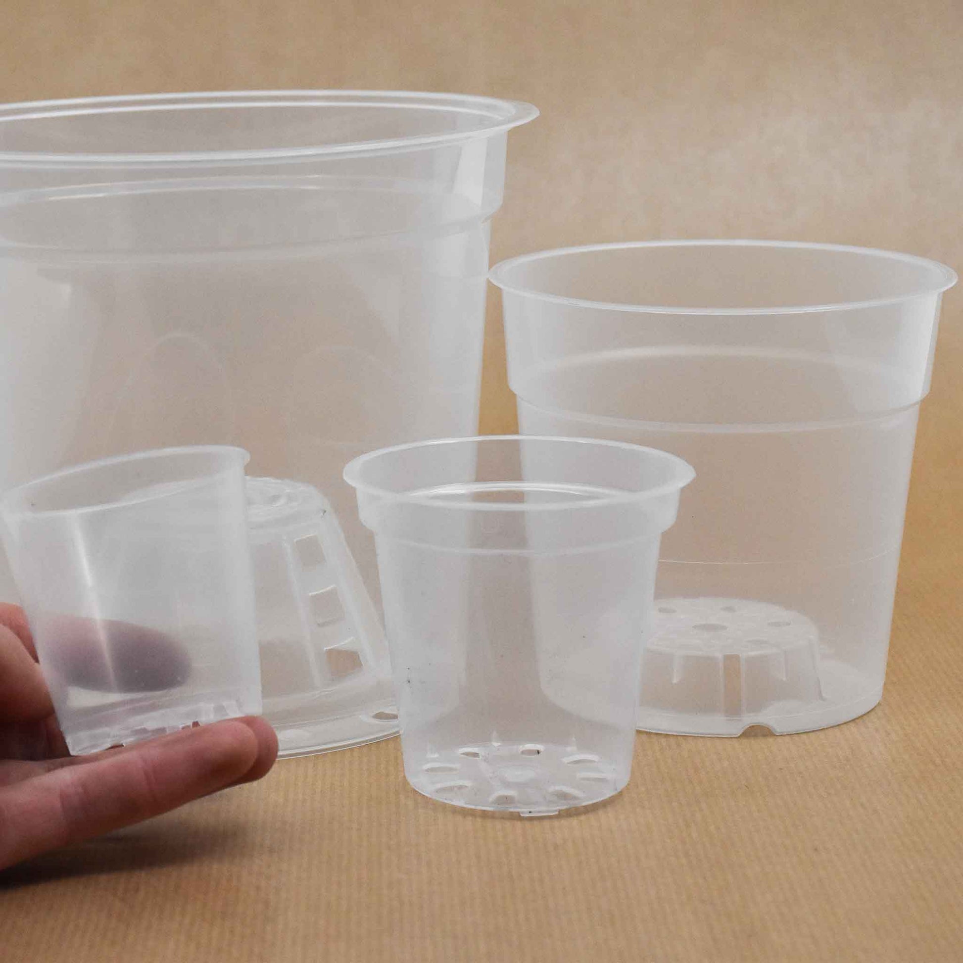 clear orchid plant pots Buy Clear Orchid Plant Pots? ✓ Quick Shipping! – Sybotanica