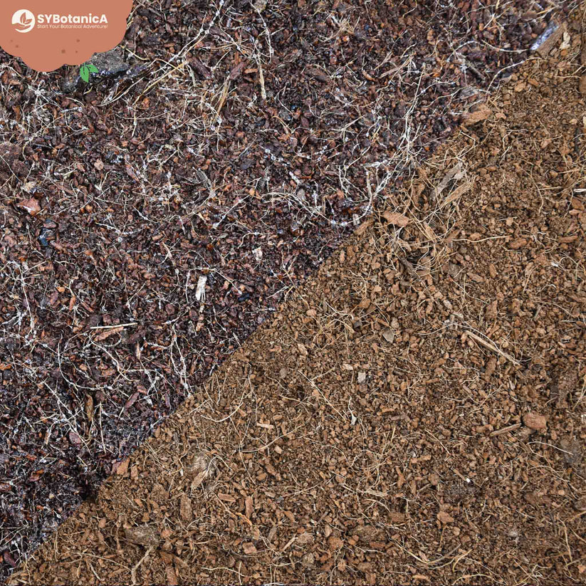 Coco coir 3L9L SYBASoil Coco peat Coco fibre Peatfree soil