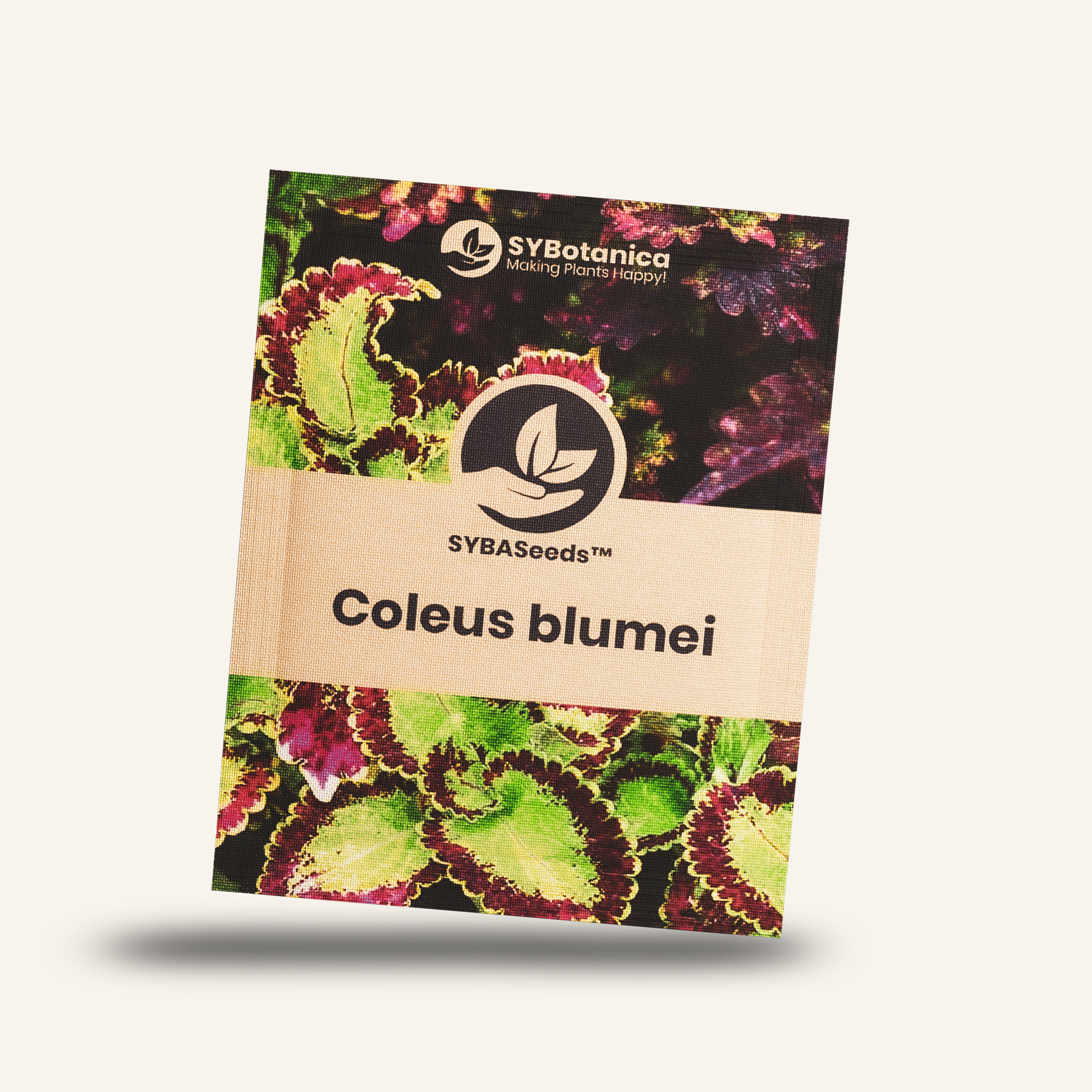Seed packet labeled Coleus blumei with colorful leaf photos, sybaseeds 4-pack