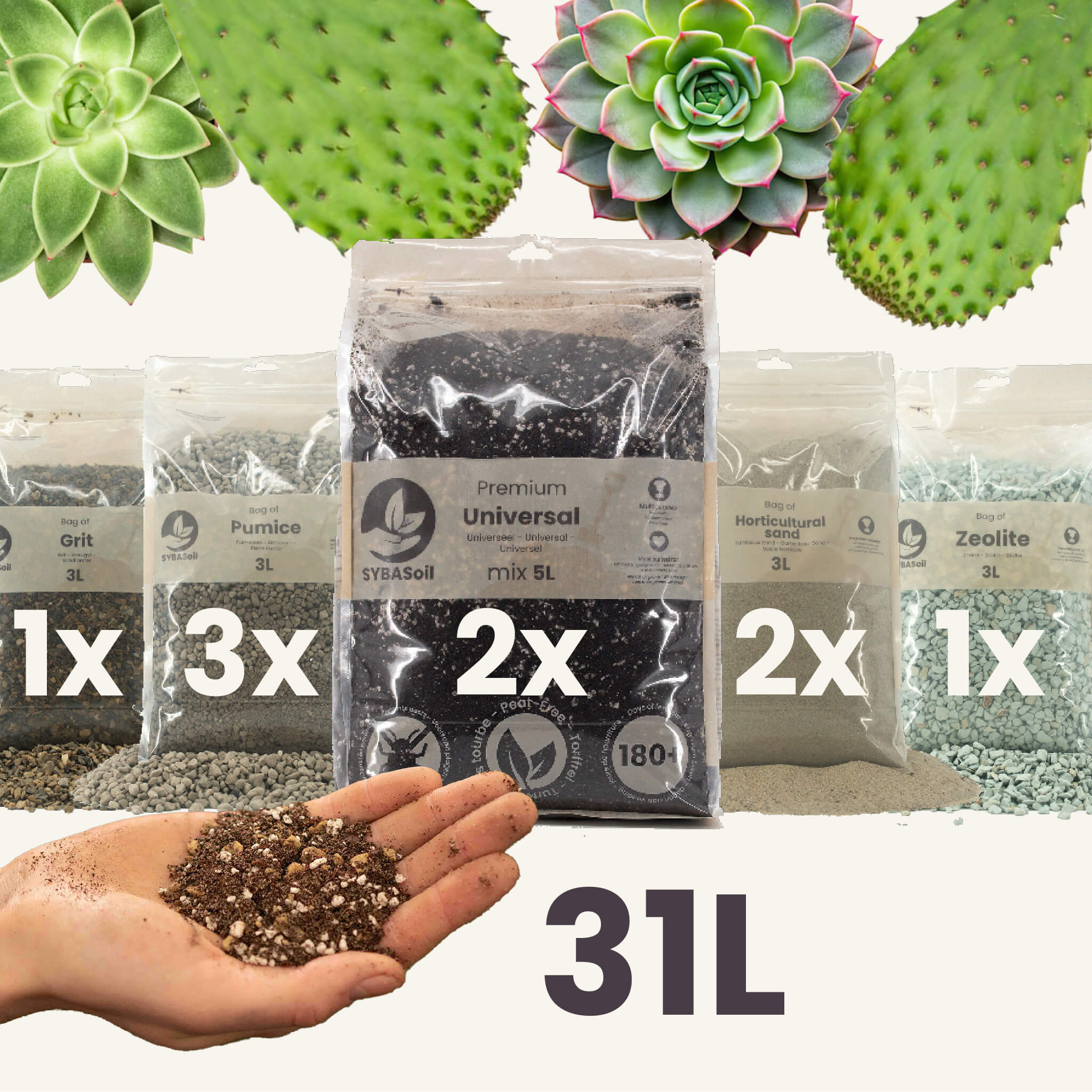Buy DIY Desert Mix Bundle? ✓ Shipped quickly – Sybotanica