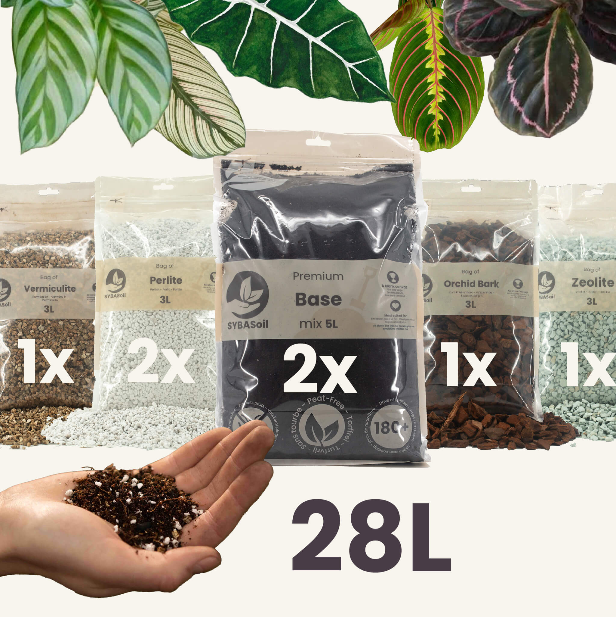 DIYTropicalMAIN-100_70cbde25-