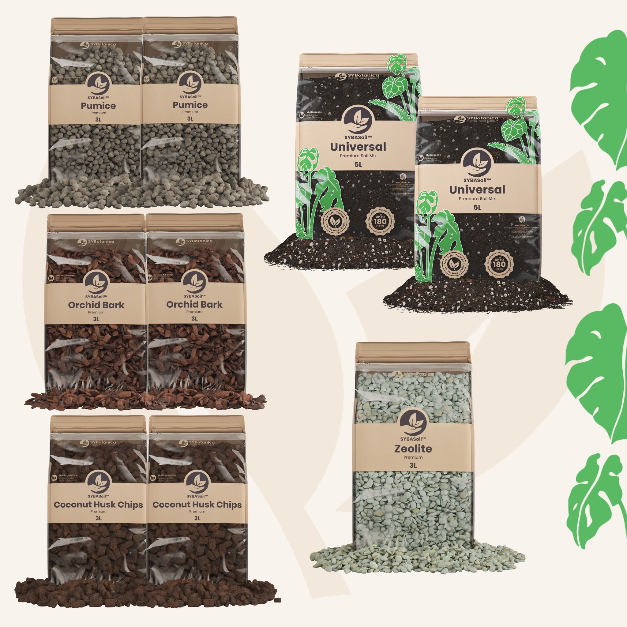 Buy DIY Aroid Mix Bundle ✓ Shipped quickly – Sybotanica