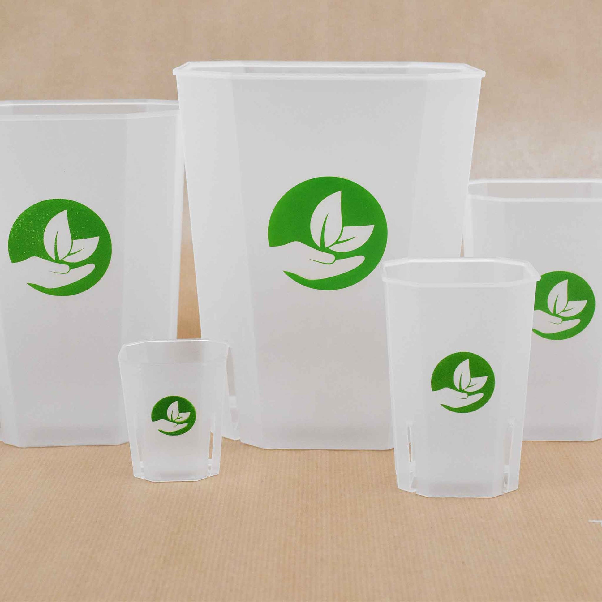 large clear pots for plants Buy Square Clear Plant Pots? ✓ Quick Shipping! – Sybotanica