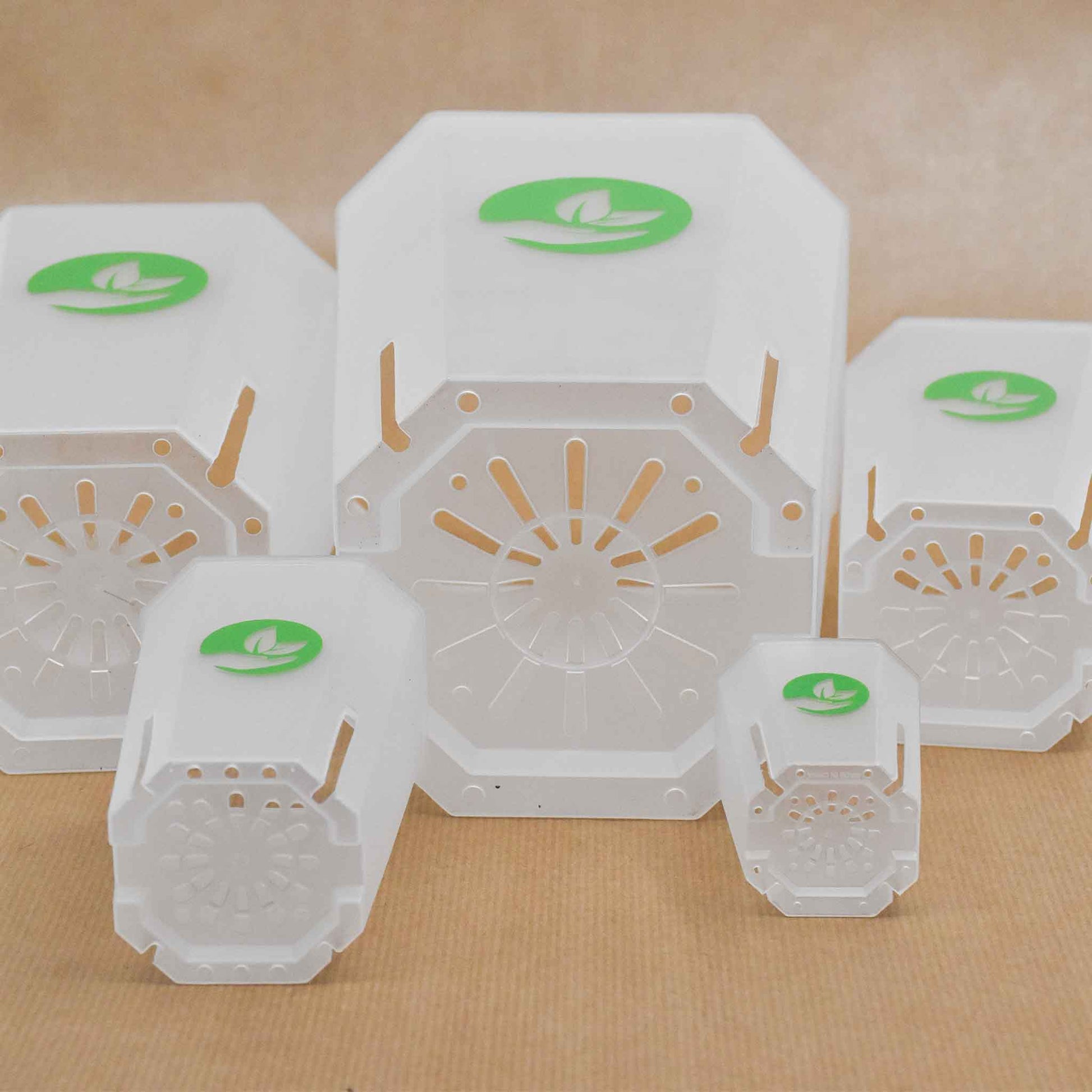 large clear pots for plants Buy Square Clear Plant Pots? ✓ Quick Shipping! – Sybotanica