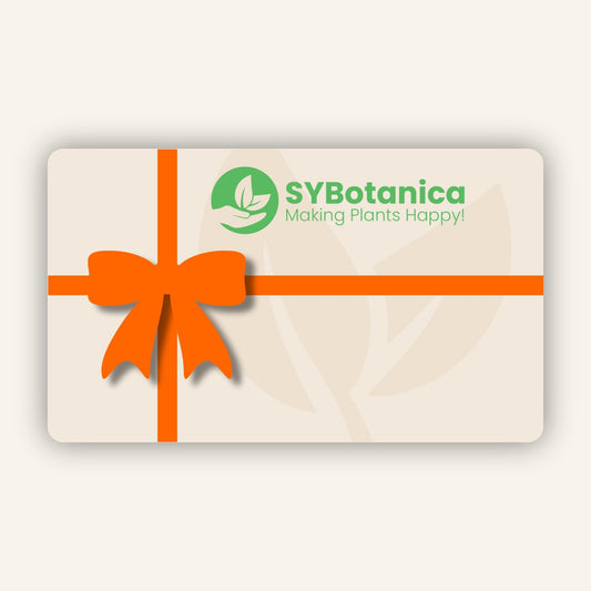 Digital Gift Card