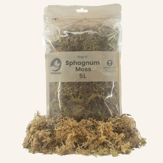 Sphagnum Moss
