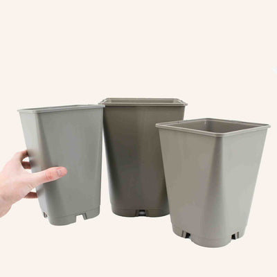 Tall Square Grey Pots
