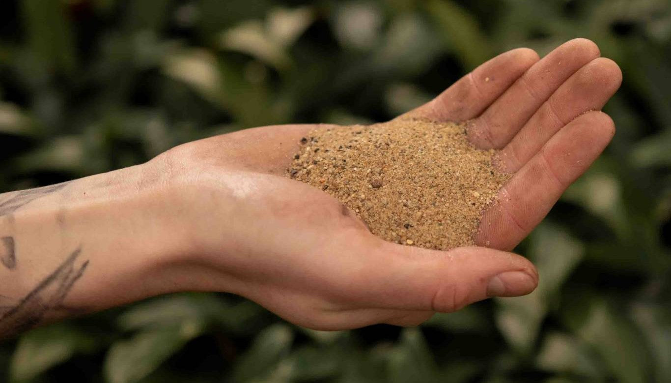 Horticultural sand in a hand