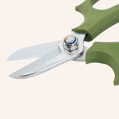Houseplant Cuttings Scissors