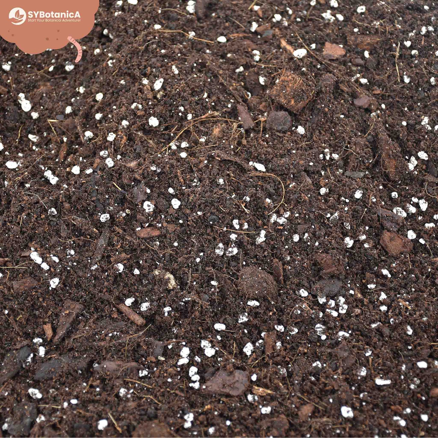 hoya potting soil mix Buy Hoya Soil Mix? Ordered before 16:30, shipped today – Sybotanica