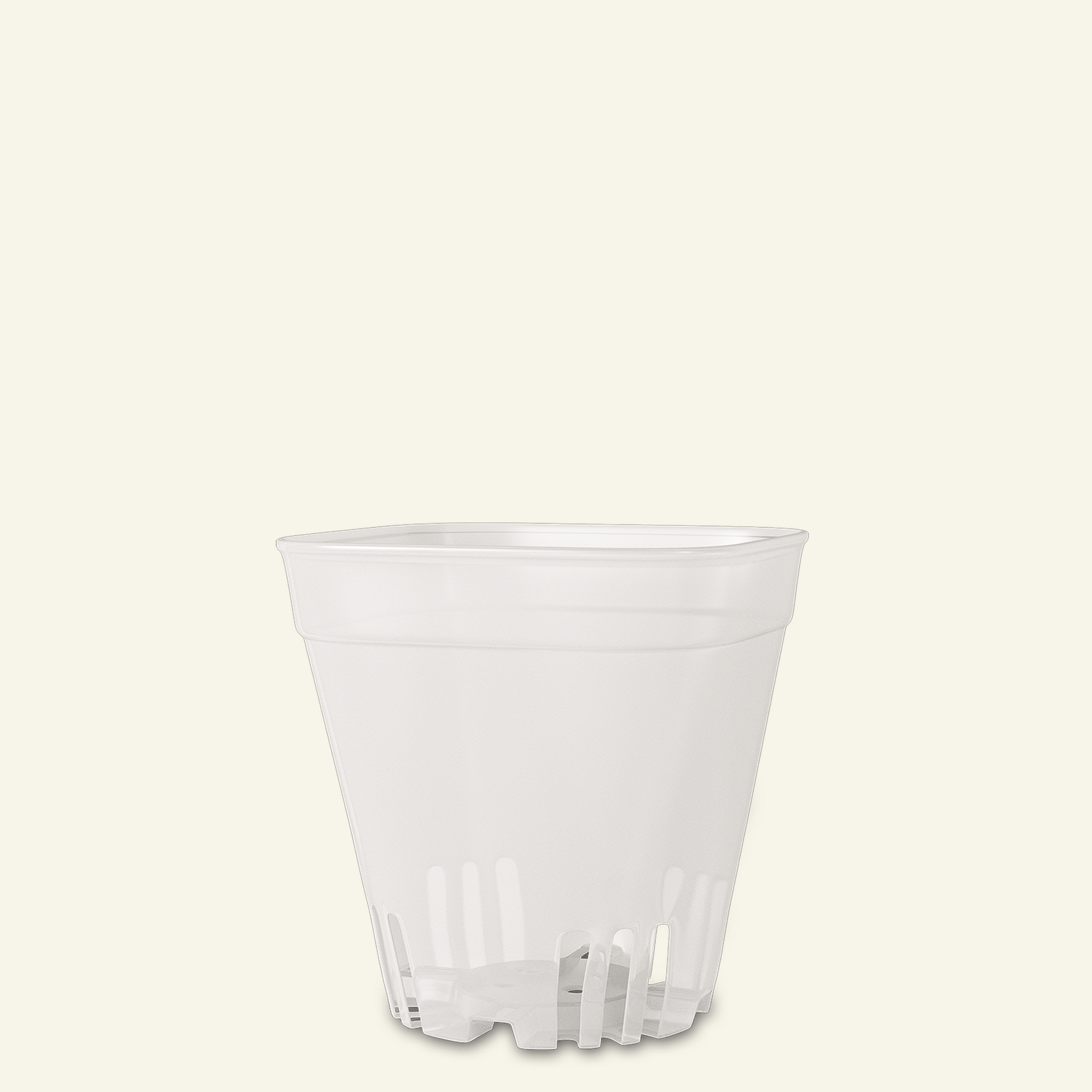 clear succulent pots Buy Clear Cacti & Succulent Plant Pot? ✓ Quick Shipping! – Sybotanica