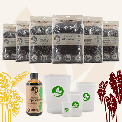 Tropical Jungle Welcome Bundle
