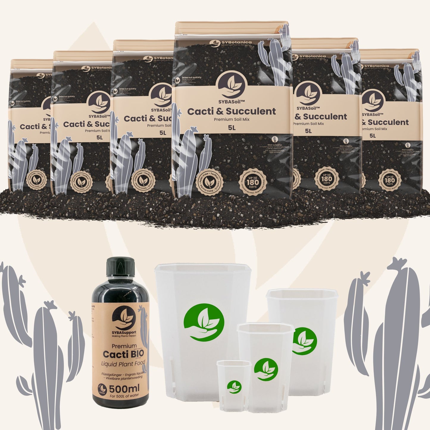 Pacchetto benvenuto per cactus e piante grasse