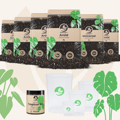 G (9 plantas, 30L)