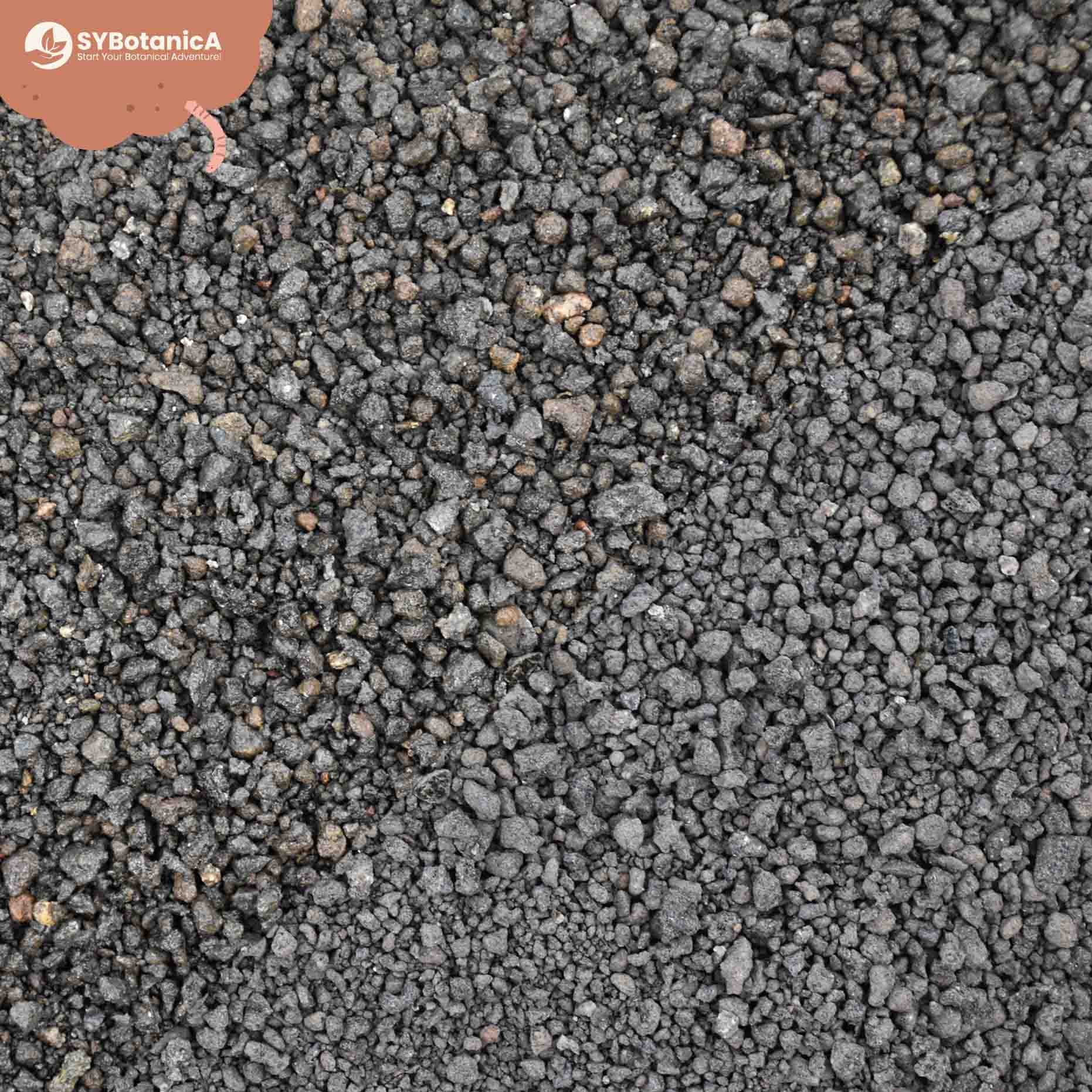 Buy Lava Gravel? ✓ Shipped Quickly! – Sybotanica Buy Lava Gravel? ✓ Shipped Quickly! – Sybotanica