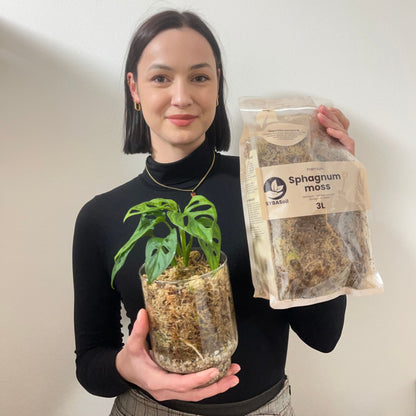 Kvinde holder potteplante monstera og en pose sphagnum-mos