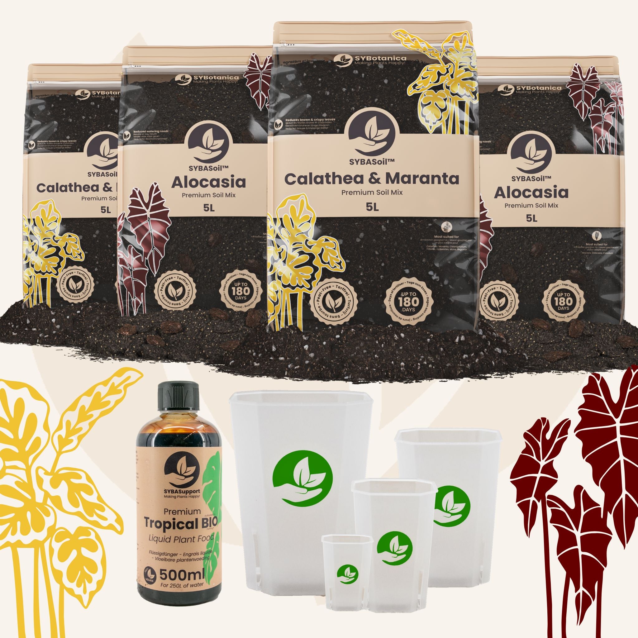 Tropical Jungle Welcome Bundle – Sybotanica