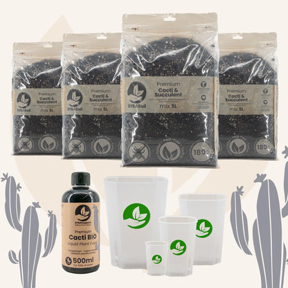 Happy Cacti & Succulent Starter Bundle