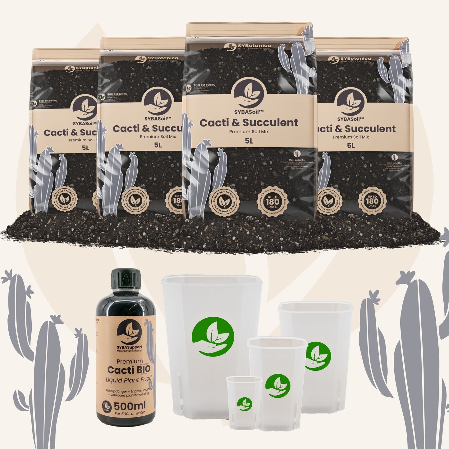 Pacchetto benvenuto per cactus e piante grasse
