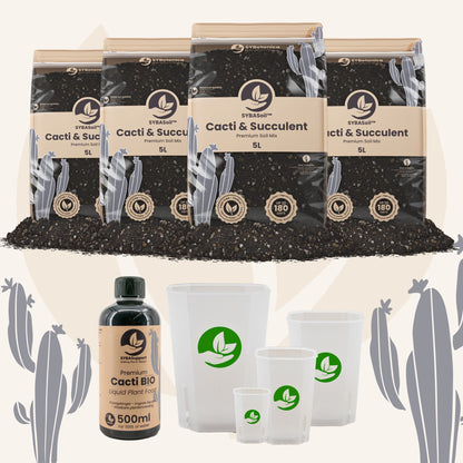 Pacchetto benvenuto per cactus e piante grasse