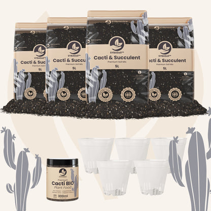 Cactus & Vetplant Welkomstbundel