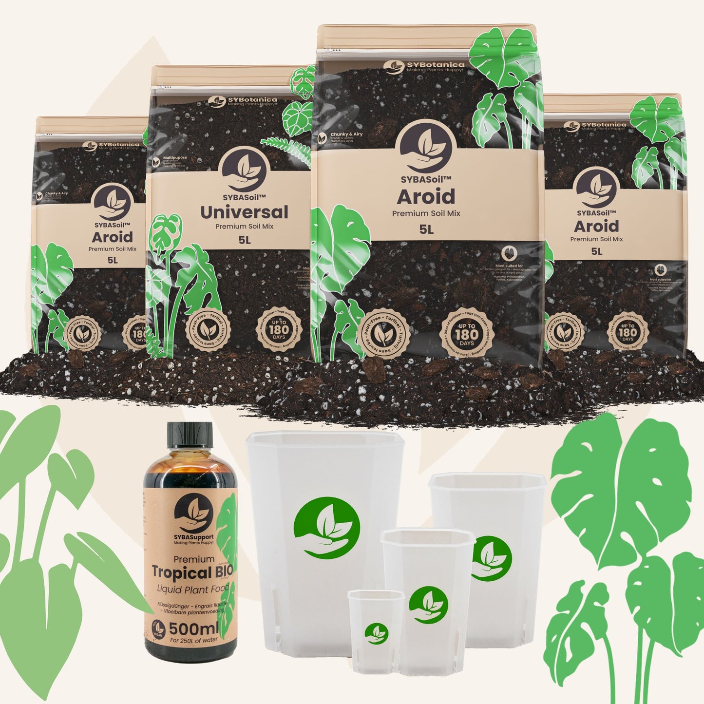 Pacchetto benvenuto Monstera & Philodendron