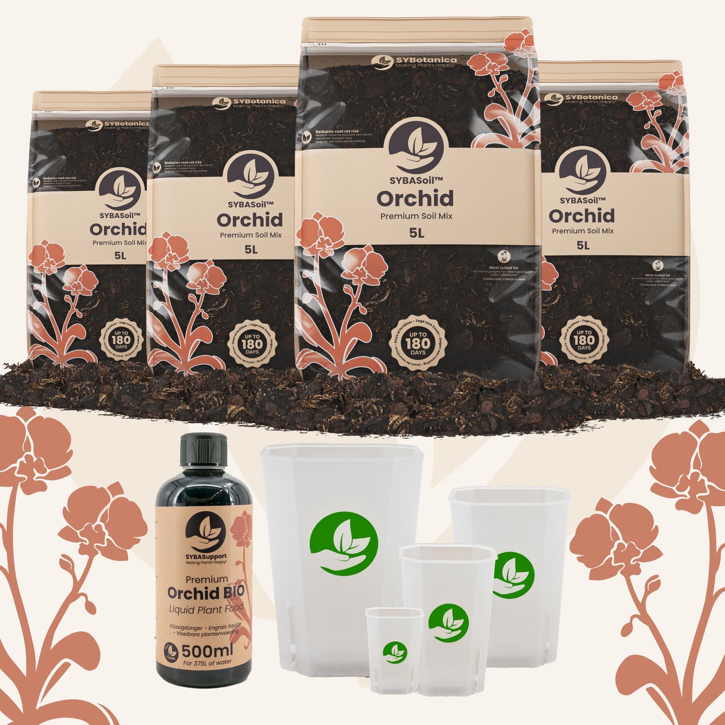 Pacchetto benvenuto Orchidea