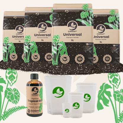 Pacchetto benvenuto universale