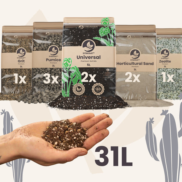 Buy DIY Desert Mix Bundle? ✓ Shipped quickly – Sybotanica