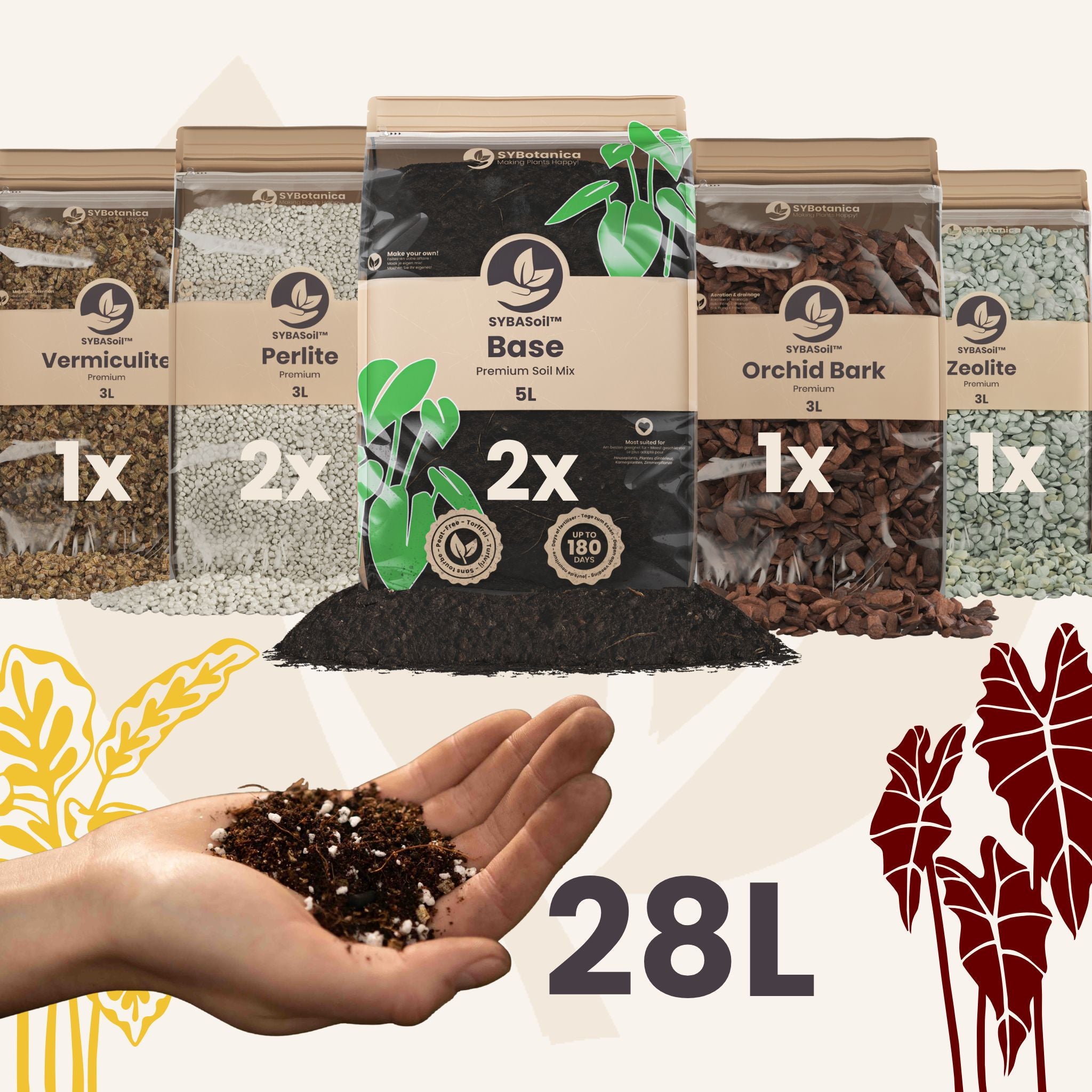 Buy DIY Tropical Jungle Mix Bundle ✓ Shipping Quickly – Sybotanica