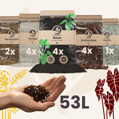 Super DIY Tropical Jungle Mix bundle