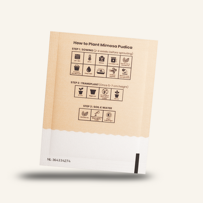 Seed packet card with Mimosa Pudica planting instructions diagram