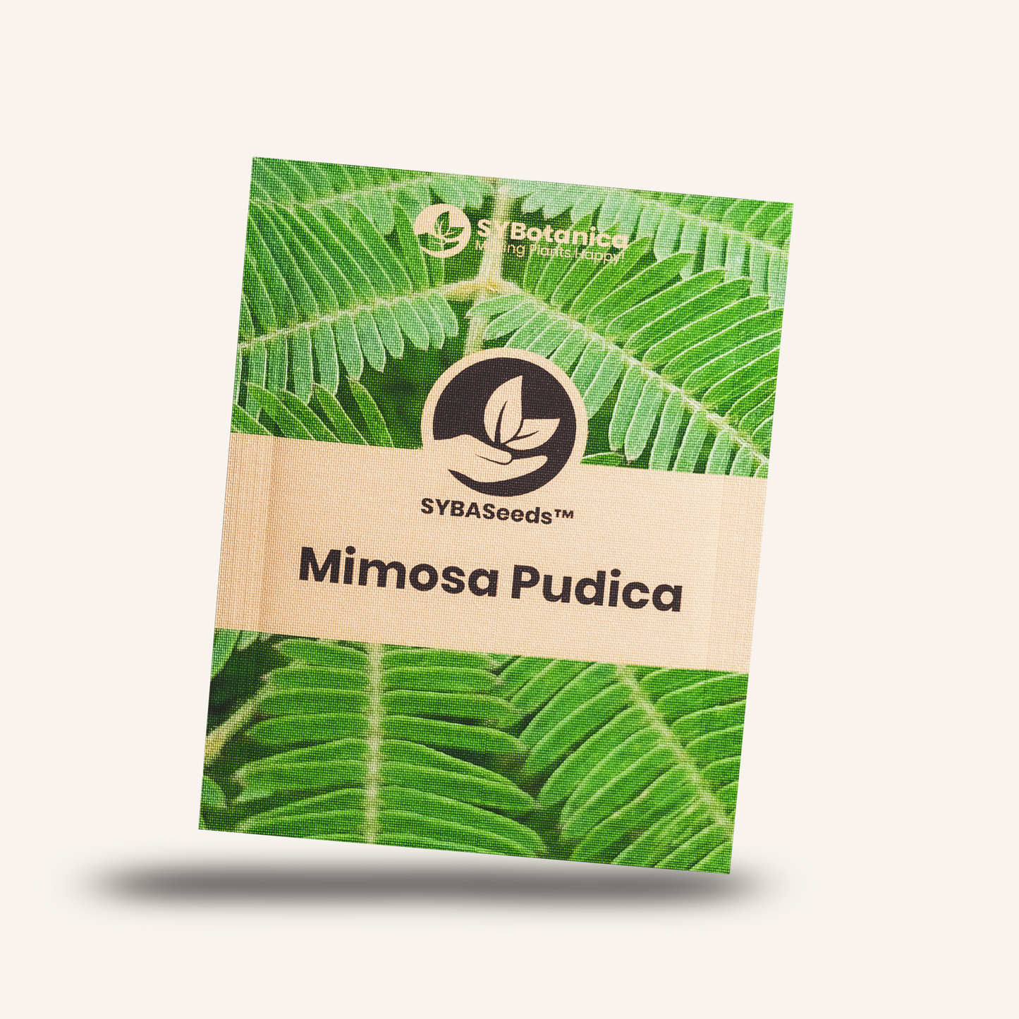 Seed packet labeled Mimosa Pudica with leaf imagery