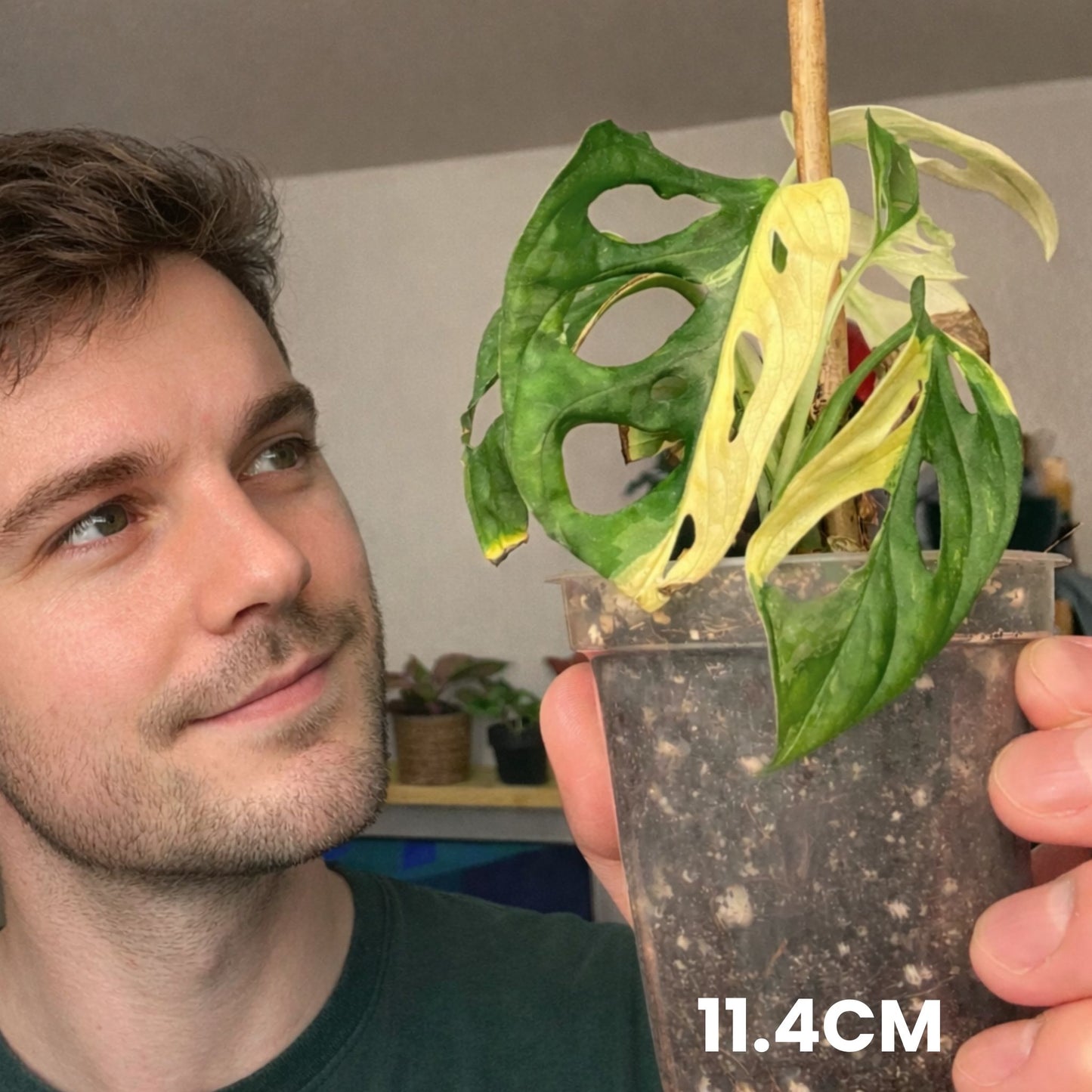 Clear Orchid Plant Pots