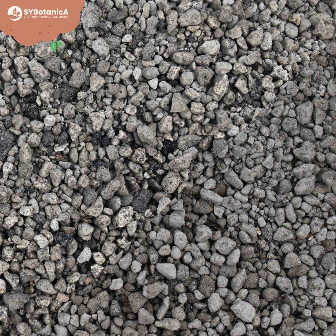 Pumice 3L9L 18mm & 816mm Bims SYBASoil Pon Pumice For