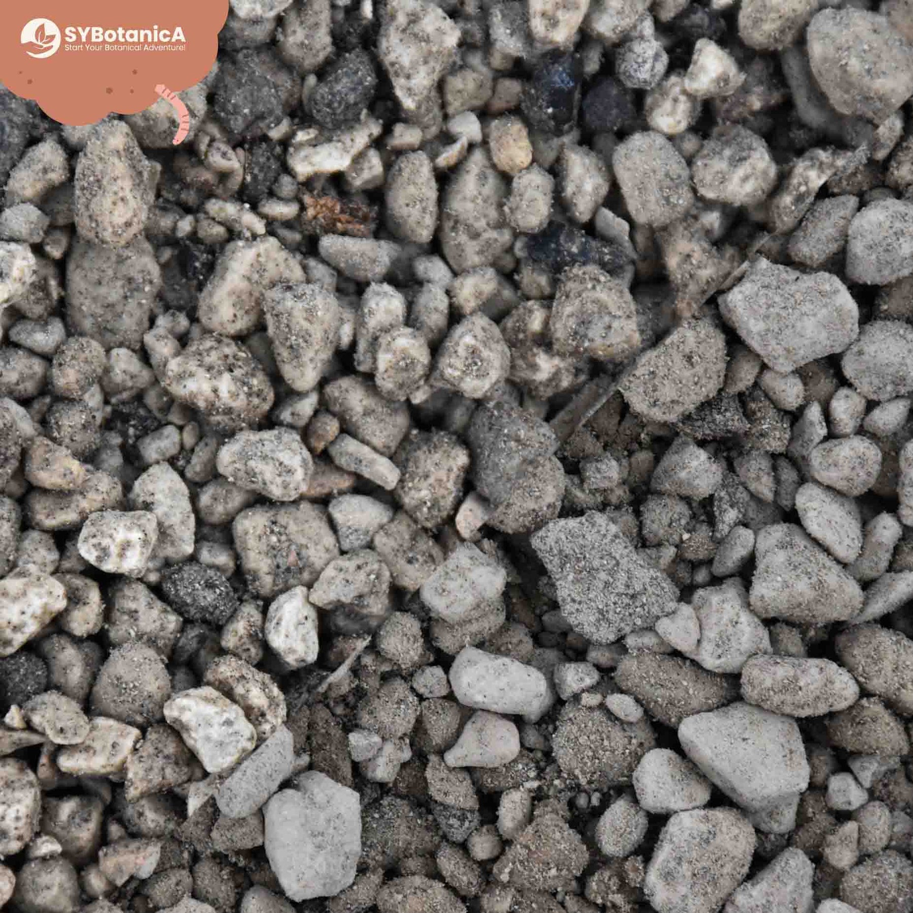 Pumice 3L9L 18mm & 816mm Bims SYBASoil Pon Pumice For