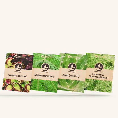 Four seed packets with different plant photos and names, sybaseeds 4-pack