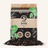 Aroid-Erde (Monstera usw.)