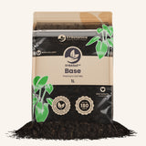 Basis-Erde