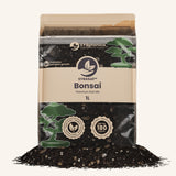 Bonsai-Erde
