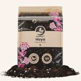 Hoya-Erde