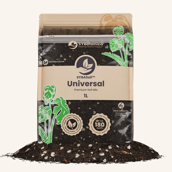 soil mix for spider plant Buy Peat-free universal houseplant mix? ✓ Fast shipping! – Sybotanica