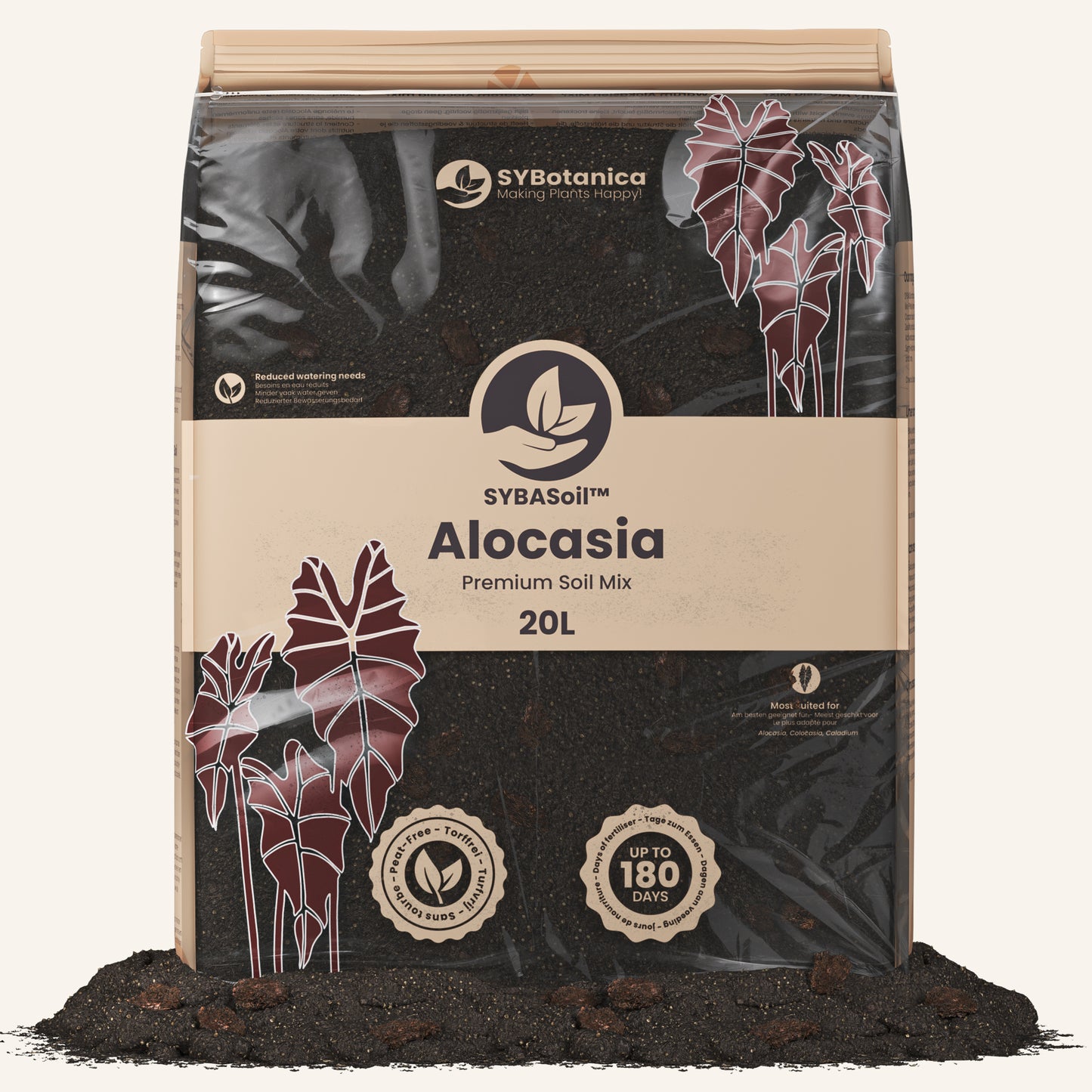 Terriccio per Lithops