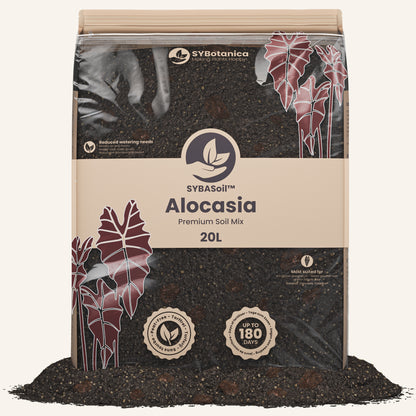 Substrato para alocasia