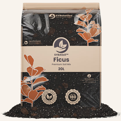 Substrato para ficus