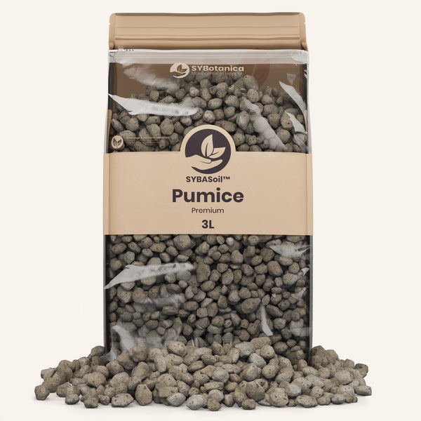 where to buy pumice for succulents Buy Pumice for Houseplants? ✓ Shipped Quickly ✓ 4-8mm & 8-16mm – Sybotanica