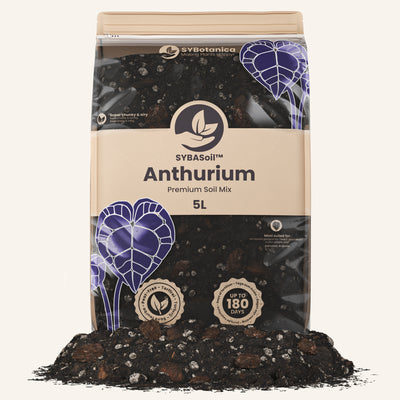 best potting mix for anthurium Buy Anthurium Soil Mix? ✓ shipped quickly – Sybotanica