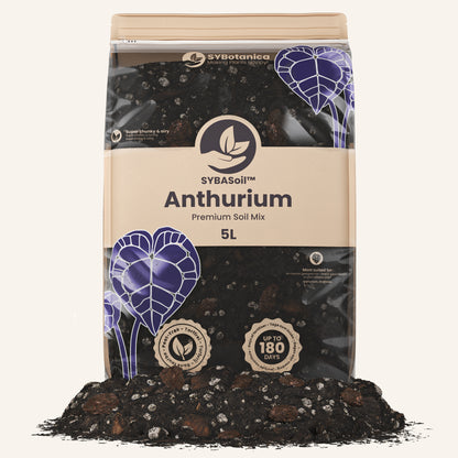 sustrato anthurium Buy Anthurium Soil Mix? ✓ shipped quickly – Sybotanica